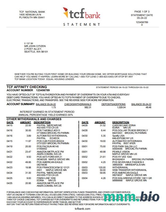 USA Synovus Bank statement szablon Worda i PDF, 4 stronas
